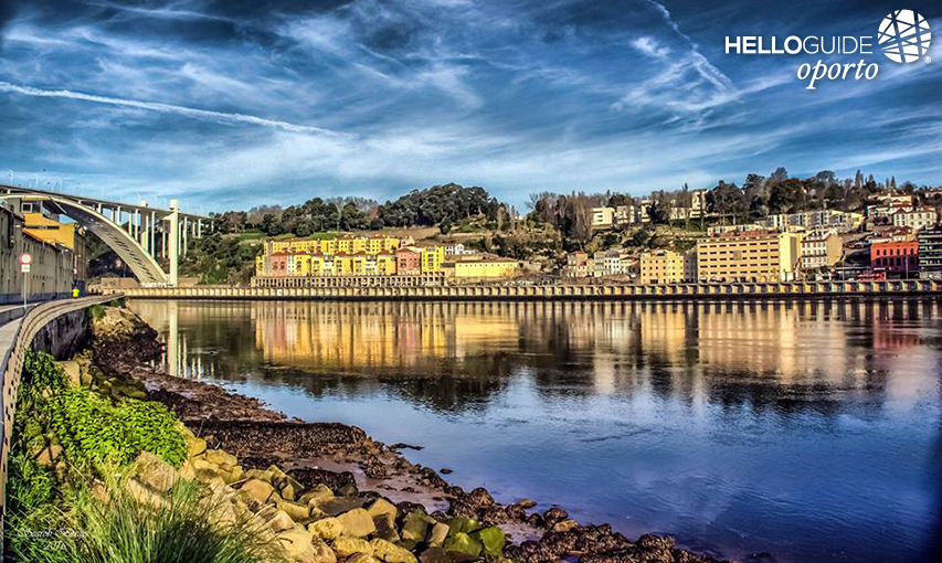 На берегу реки