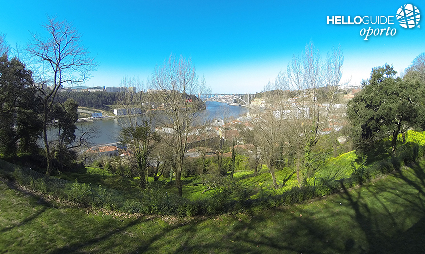 Красота дворцовых садов Кристалл