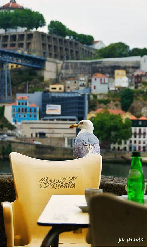 Détendez-vous dans Porto