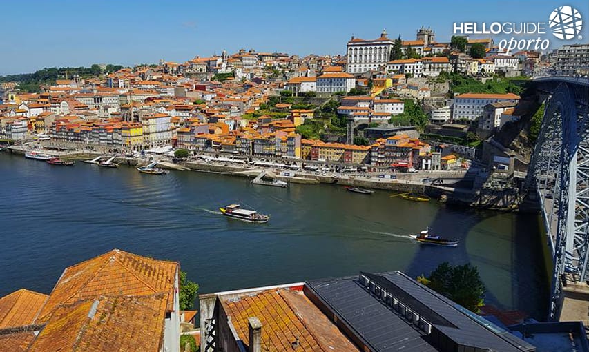 La vue depuis jardin 