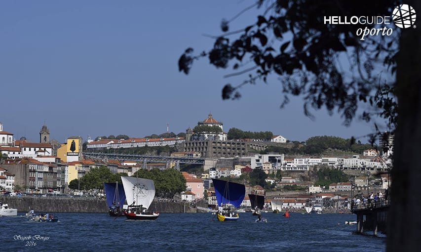 Día ocupado en el río Duero
