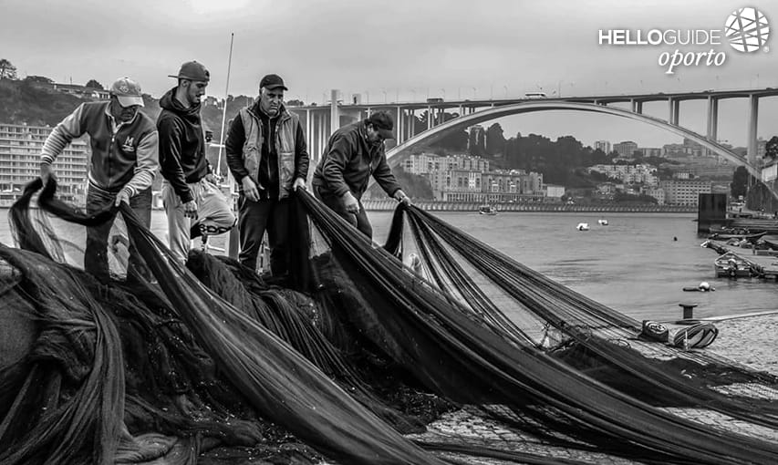 рыболовные сети