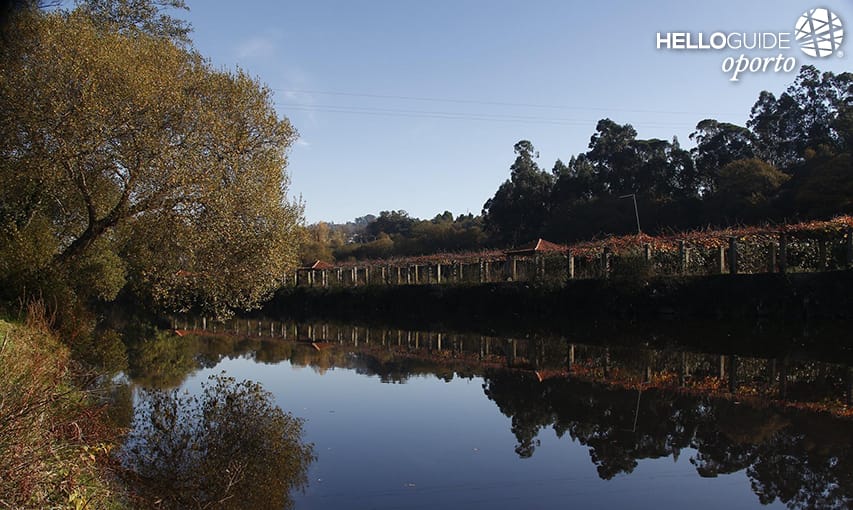 Rio Ave- Santo Tirso