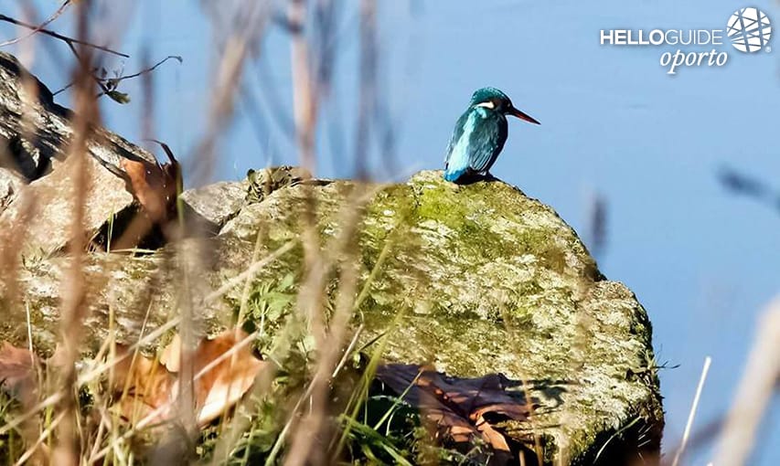 Доброе утро