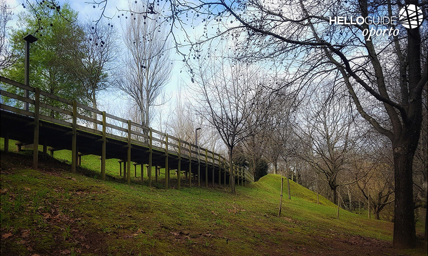En medio de la naturaleza