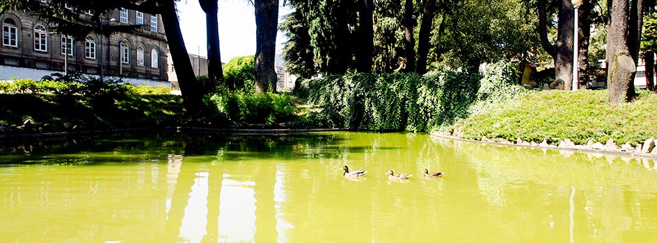 Сад Каррегал