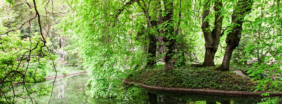 Парк Серралвеш