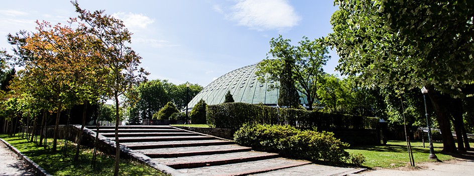 Сады Хрустального Дворца