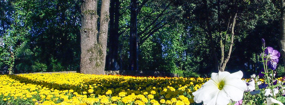 Jardín de Arca del Agua