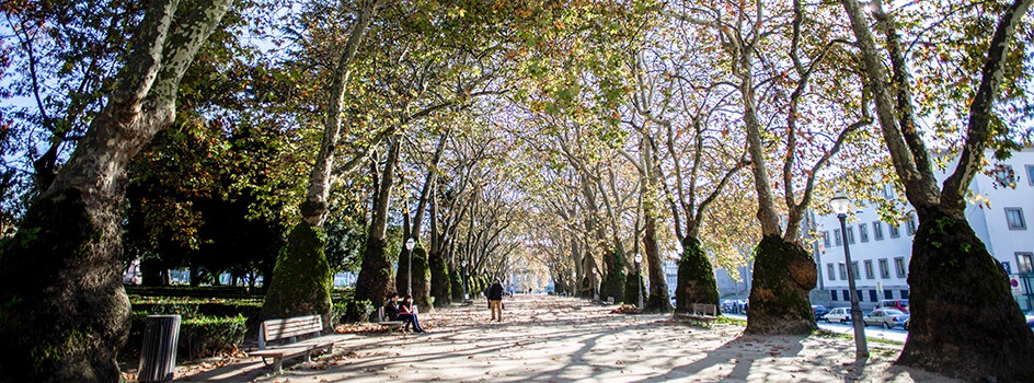 Jardín de João Chagas