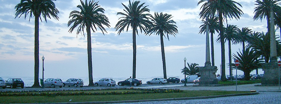 Jardín del Paseo Alegre