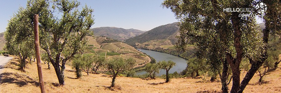 7 day in oporto helloguide 08