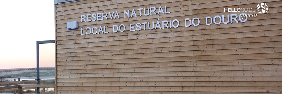 observacao de aves oporto helloguide 01