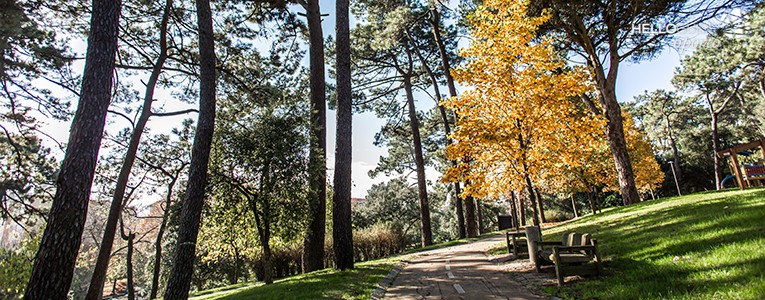 parque urbano da pasteleira oporto helloguide 01