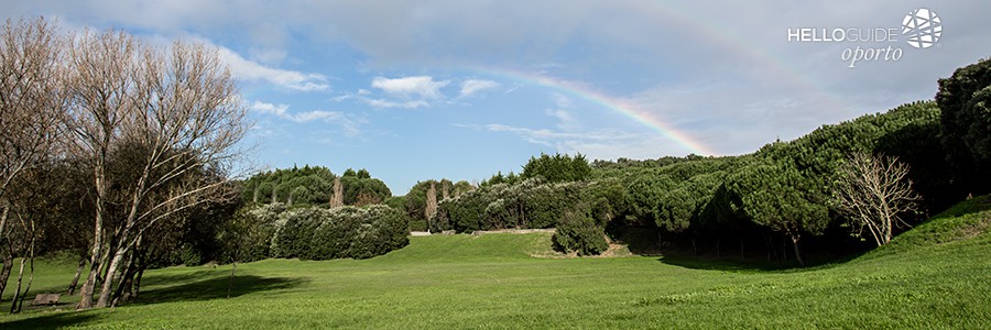 oporto in 2 days oporto helloguide 01